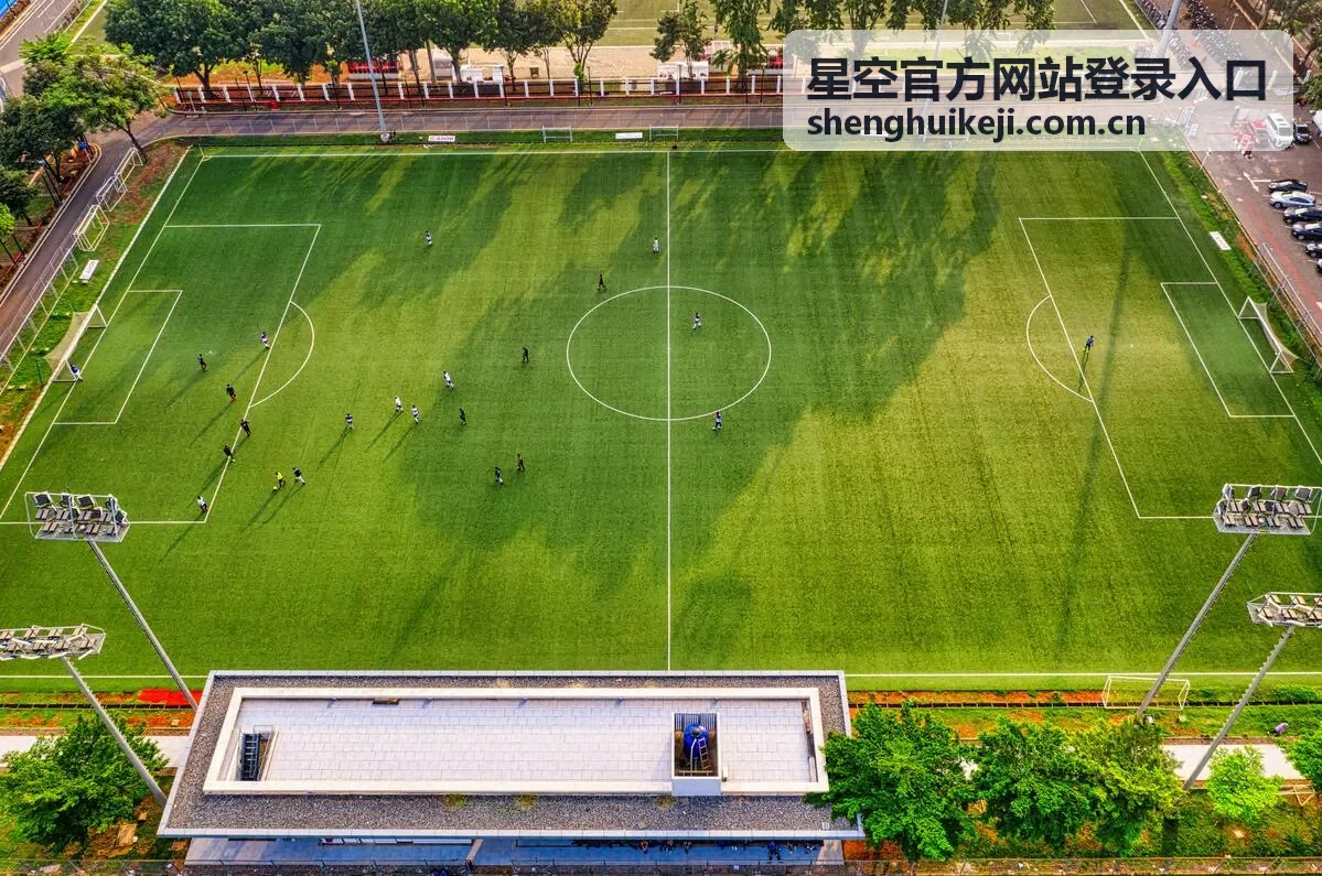 星空客户端安全验证与设备管理页面